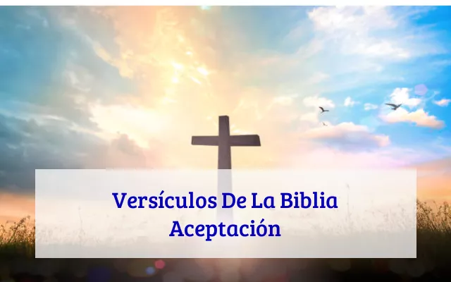 Versículos De La Biblia Aceptación