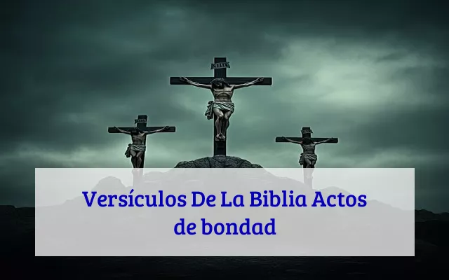 Versículos De La Biblia Actos de bondad