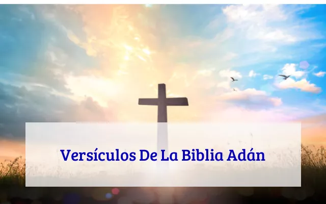 Versículos De La Biblia Adán