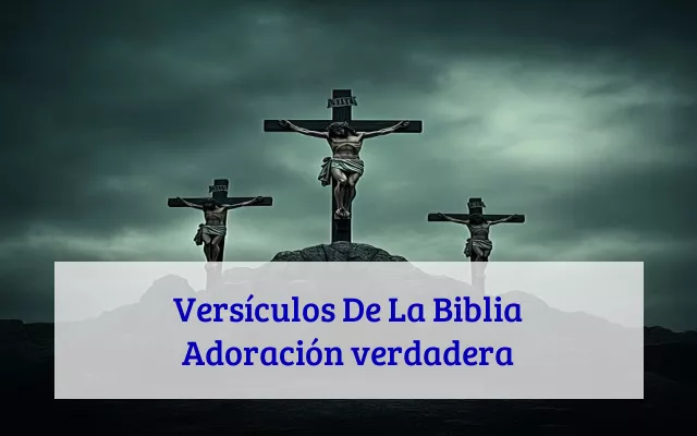 Versículos De La Biblia Adoración verdadera