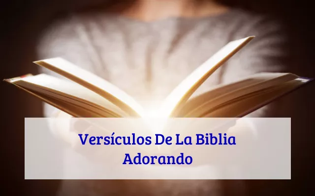 Versículos De La Biblia Adorando