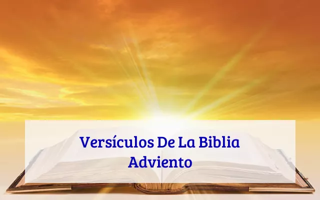Versículos De La Biblia Adviento