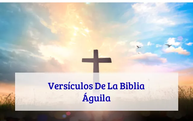 Versículos De La Biblia Águila