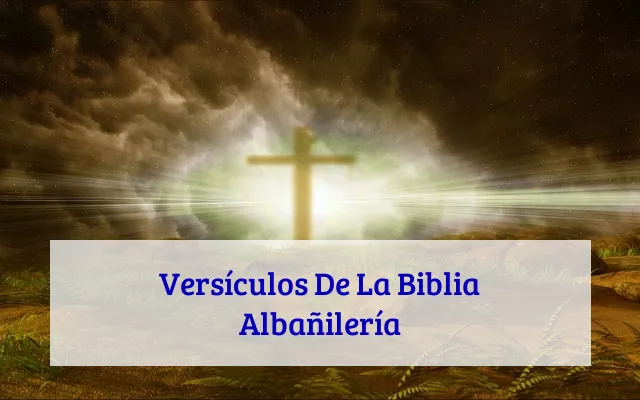 Versículos De La Biblia Albañilería