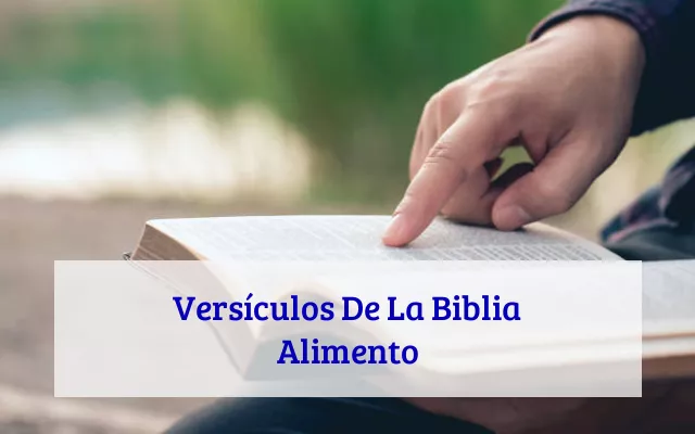 Versículos De La Biblia Alimento