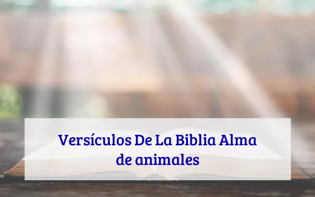 Versículos De La Biblia Alma de animales