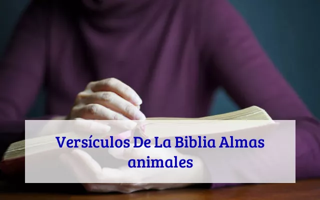 Versículos De La Biblia Almas animales