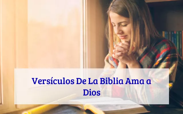 Versículos De La Biblia Ama a Dios