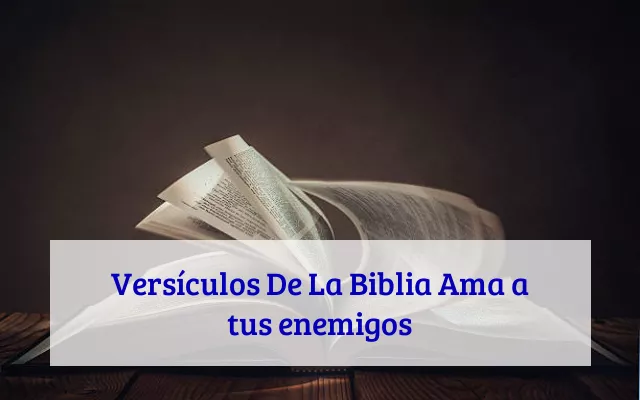 Versículos De La Biblia Ama a tus enemigos