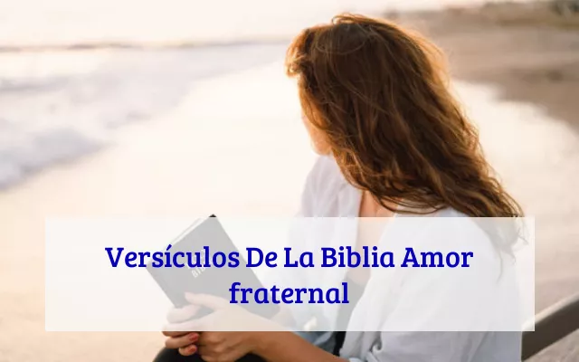 Versículos De La Biblia Amor fraternal