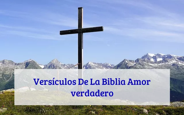 Versículos De La Biblia Amor verdadero