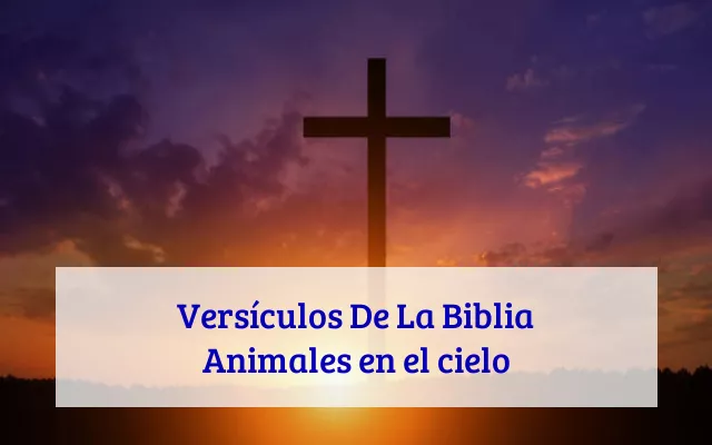 Versículos De La Biblia Animales en el cielo