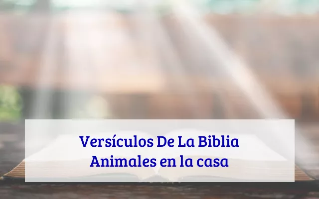Versículos De La Biblia Animales en la casa