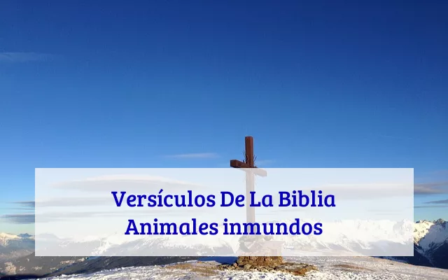 Versículos De La Biblia Animales inmundos
