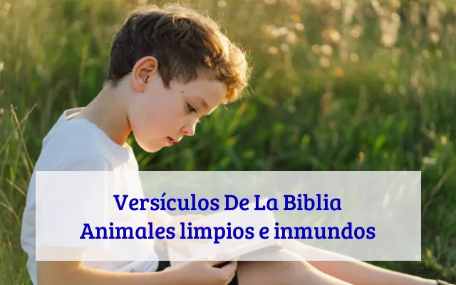 Versículos De La Biblia Animales limpios e inmundos
