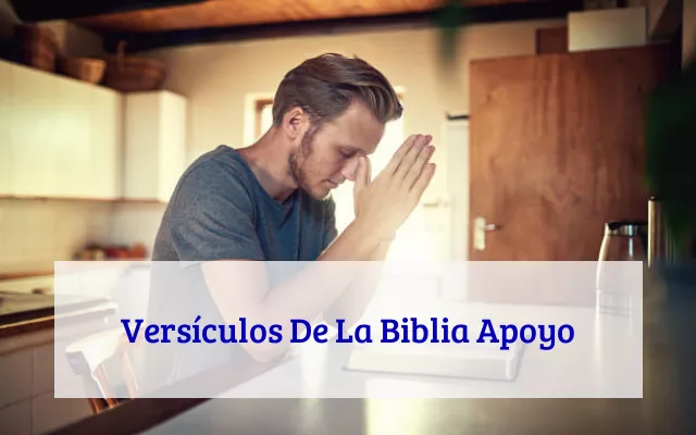 Versículos De La Biblia Apoyo