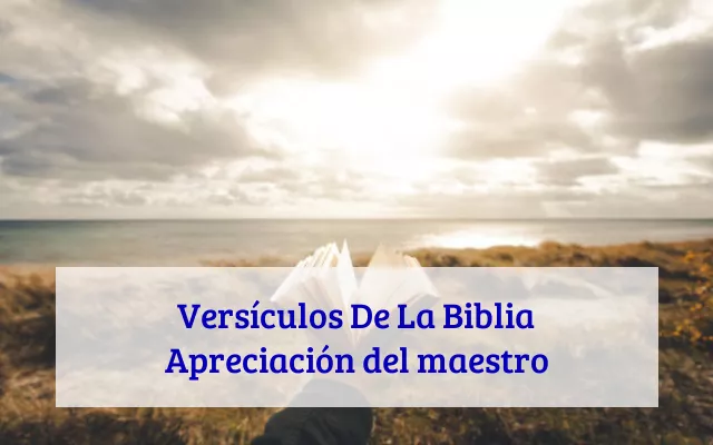 Versículos De La Biblia Apreciación del maestro