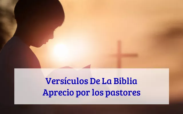 Versículos De La Biblia Aprecio por los pastores