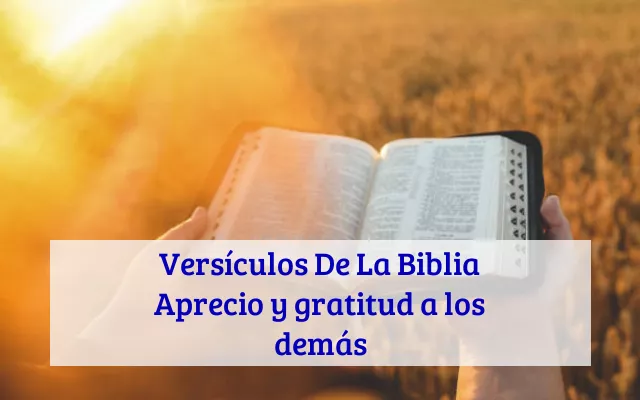 Versículos De La Biblia Aprecio y gratitud a los demás