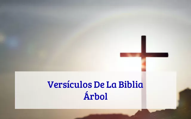 Versículos De La Biblia Árbol
