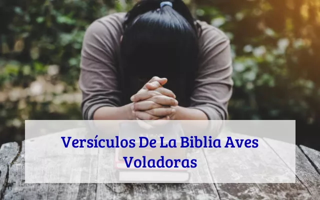 Versículos De La Biblia Aves Voladoras