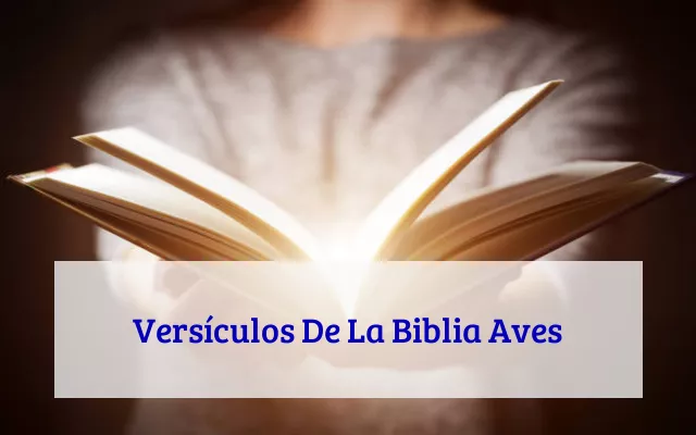 Versículos De La Biblia Aves