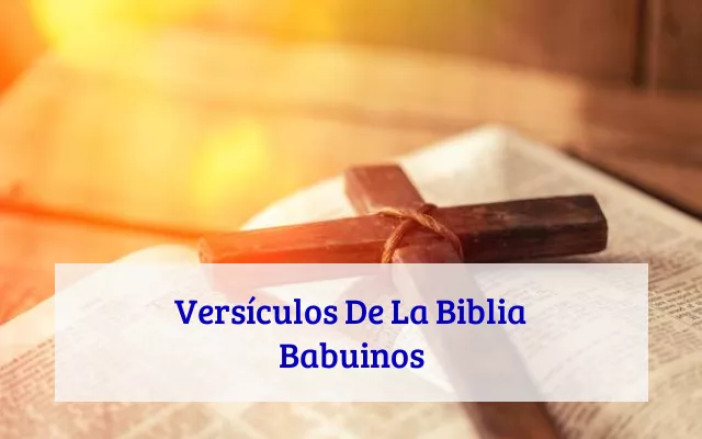 Versículos De La Biblia Babuinos