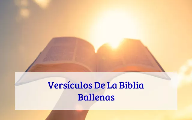 Versículos De La Biblia Ballenas