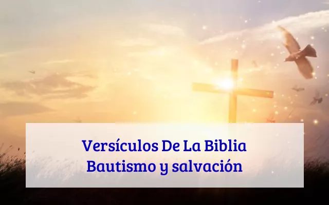Versículos De La Biblia Bautismo y salvación