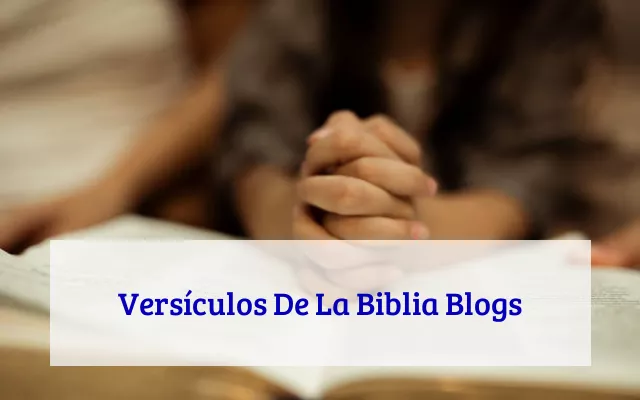 Versículos De La Biblia Blogs