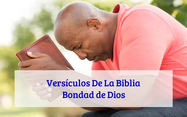 Versículos De La Biblia Bondad de Dios
