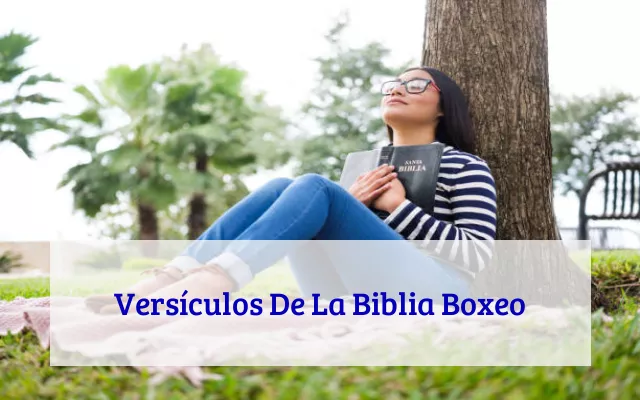 Versículos De La Biblia Boxeo