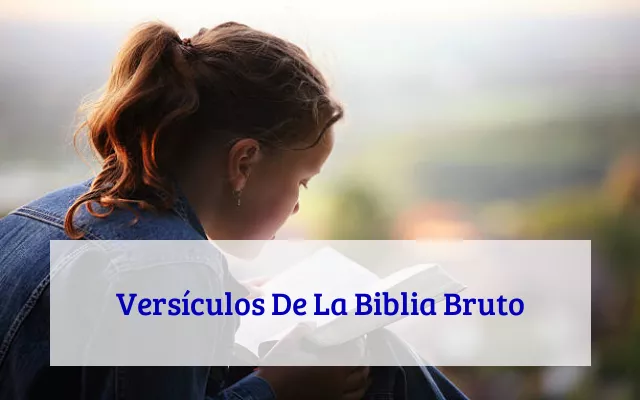 Versículos De La Biblia Bruto