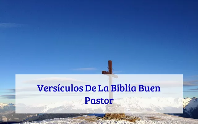 Versículos De La Biblia Buen Pastor