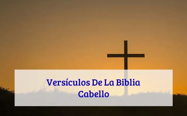 Versículos De La Biblia Cabello