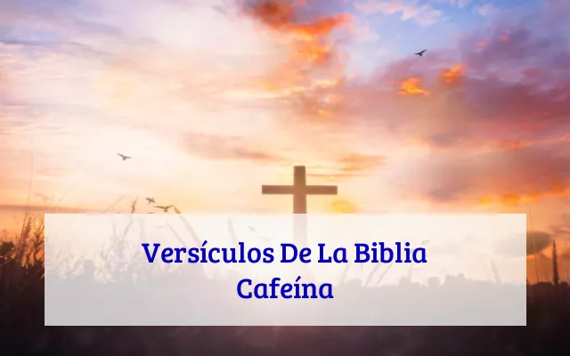 Versículos De La Biblia Cafeína