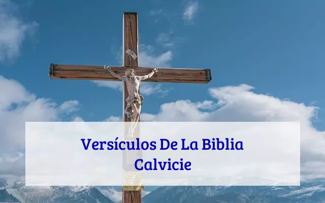 Versículos De La Biblia Calvicie
