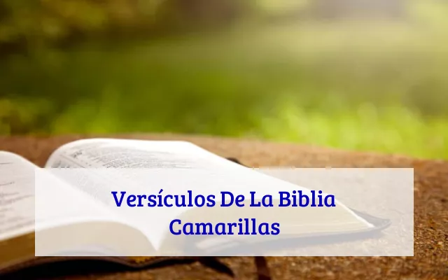 Versículos De La Biblia Camarillas