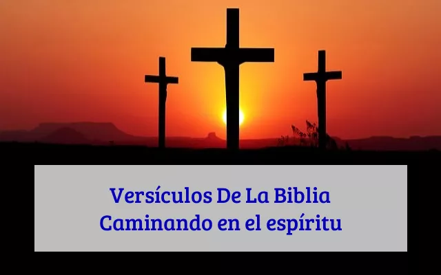 Versículos De La Biblia Caminando en el espíritu