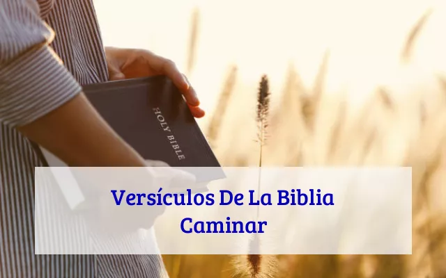 Versículos De La Biblia Caminar