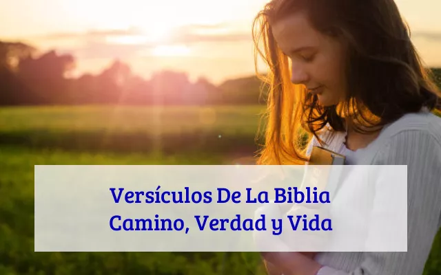 Versículos De La Biblia Camino, Verdad y Vida