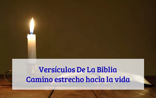 Versículos De La Biblia Camino estrecho hacia la vida