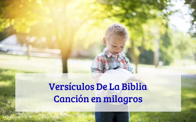 Versículos De La Biblia Canción en milagros