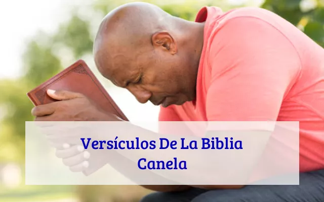 Versículos De La Biblia Canela