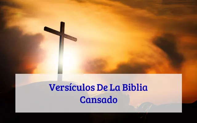 Versículos De La Biblia Cansado