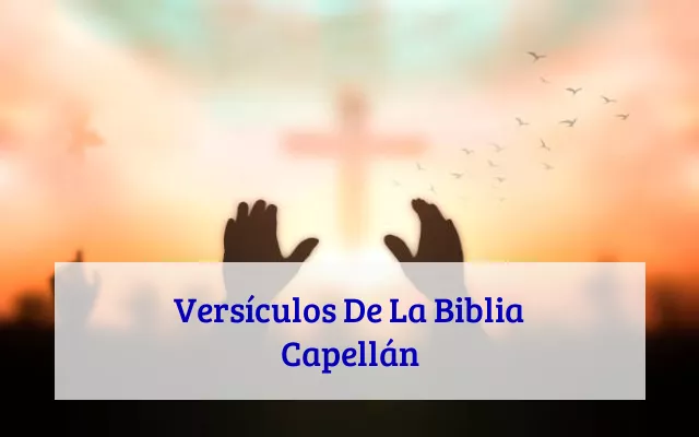 Versículos De La Biblia Capellán
