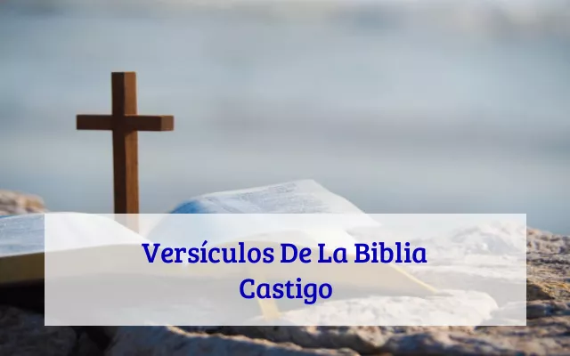 Versículos De La Biblia Castigo