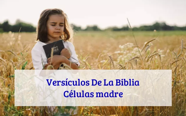 Versículos De La Biblia Células madre