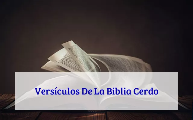 Versículos De La Biblia Cerdo