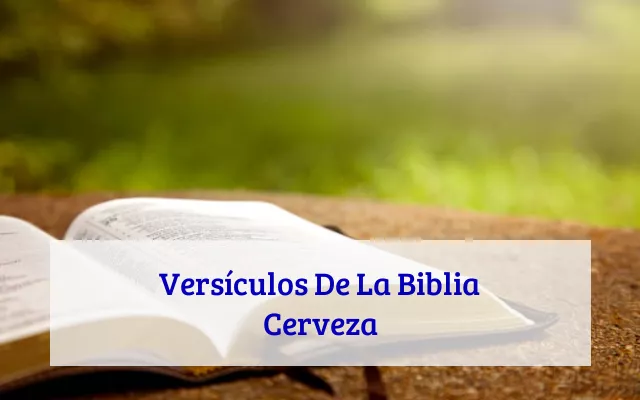 Versículos De La Biblia Cerveza